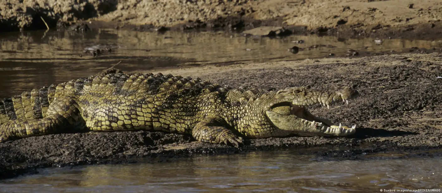 Mamba kutumika kudhibiti wafungwa