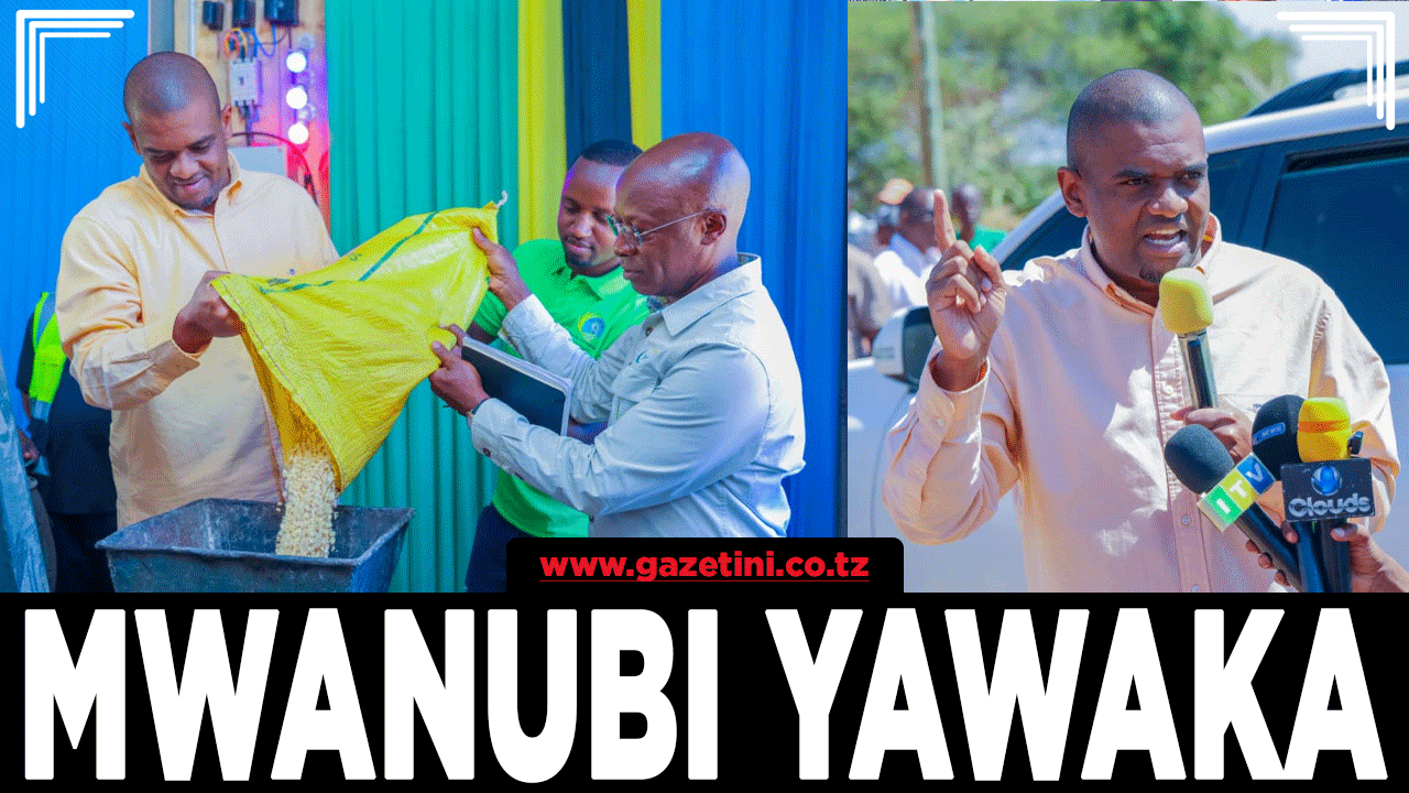 Ndejembi awasha umeme Mwanubi