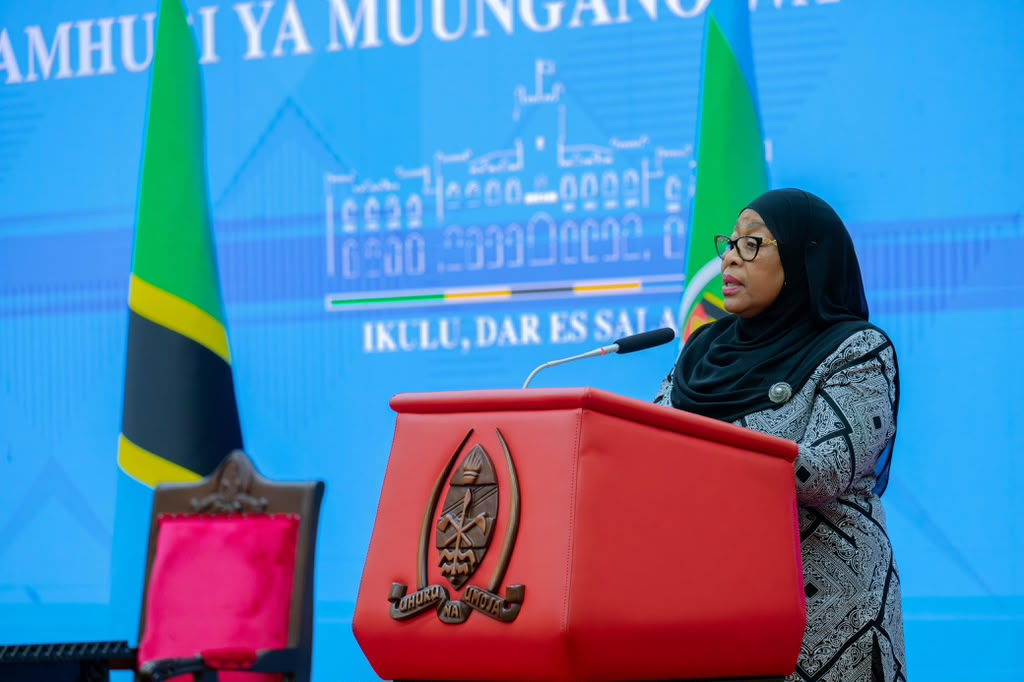 Rais Samia azindua tume ya uchunguzi wa ghasia za uchaguzi 2025